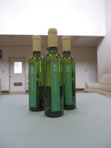 ナイアガラ2014 辛口