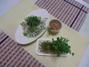 豆苗料理