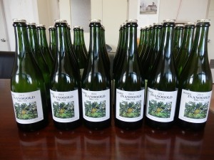 シナノゴールドシードル